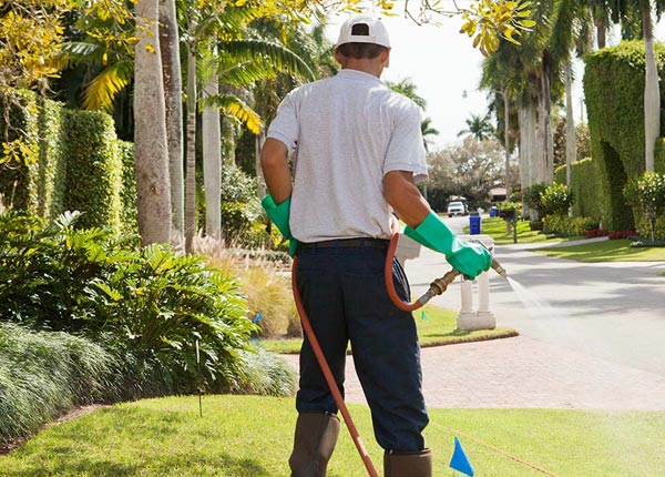 About Eureka CA Pest Control Pros